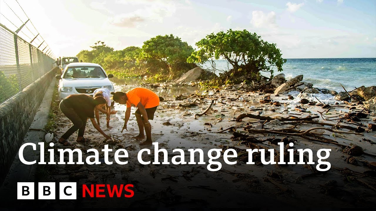 Top UN court says countries can sue each other over climate change | BBC News