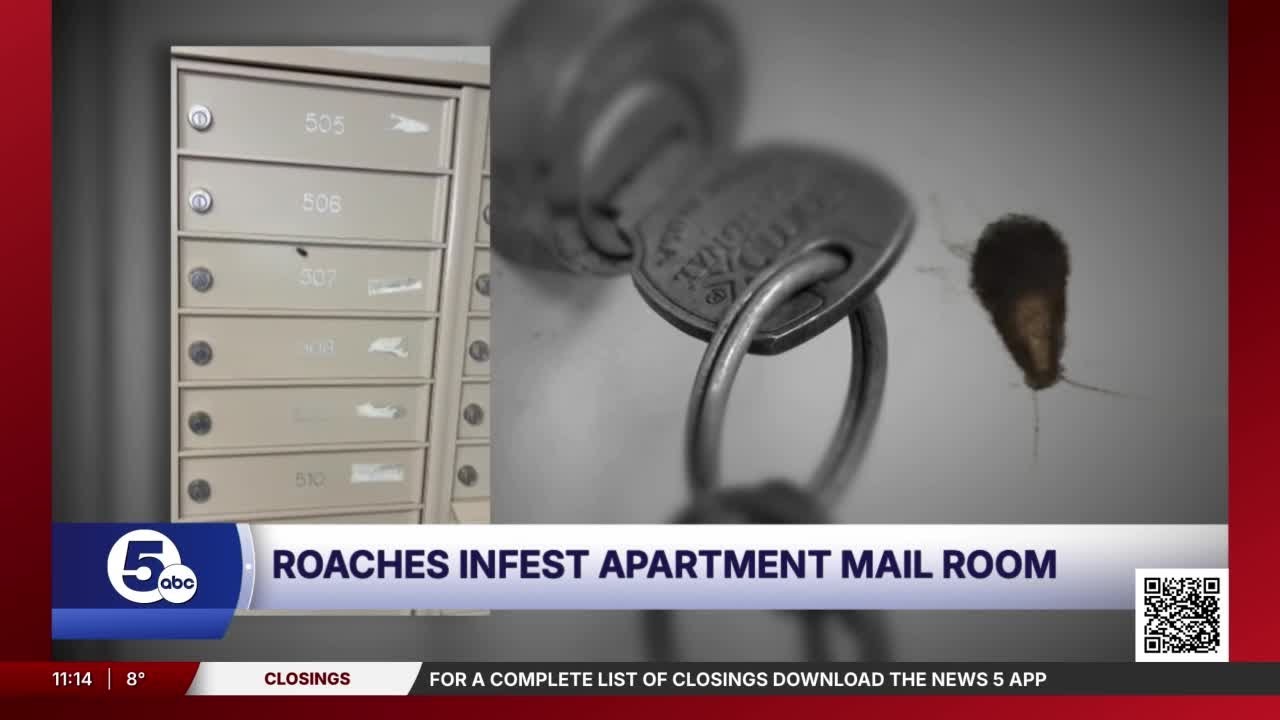 Cockroach infestation at an Akron apartment building leads USPS to suspend mail service