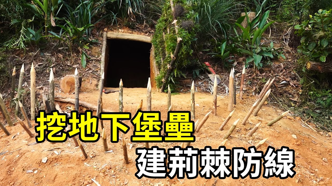 荒野大神挖地下堡壘，建荊棘防線，狼群來了都繞路！ | #紀錄片 #有趣  #creative