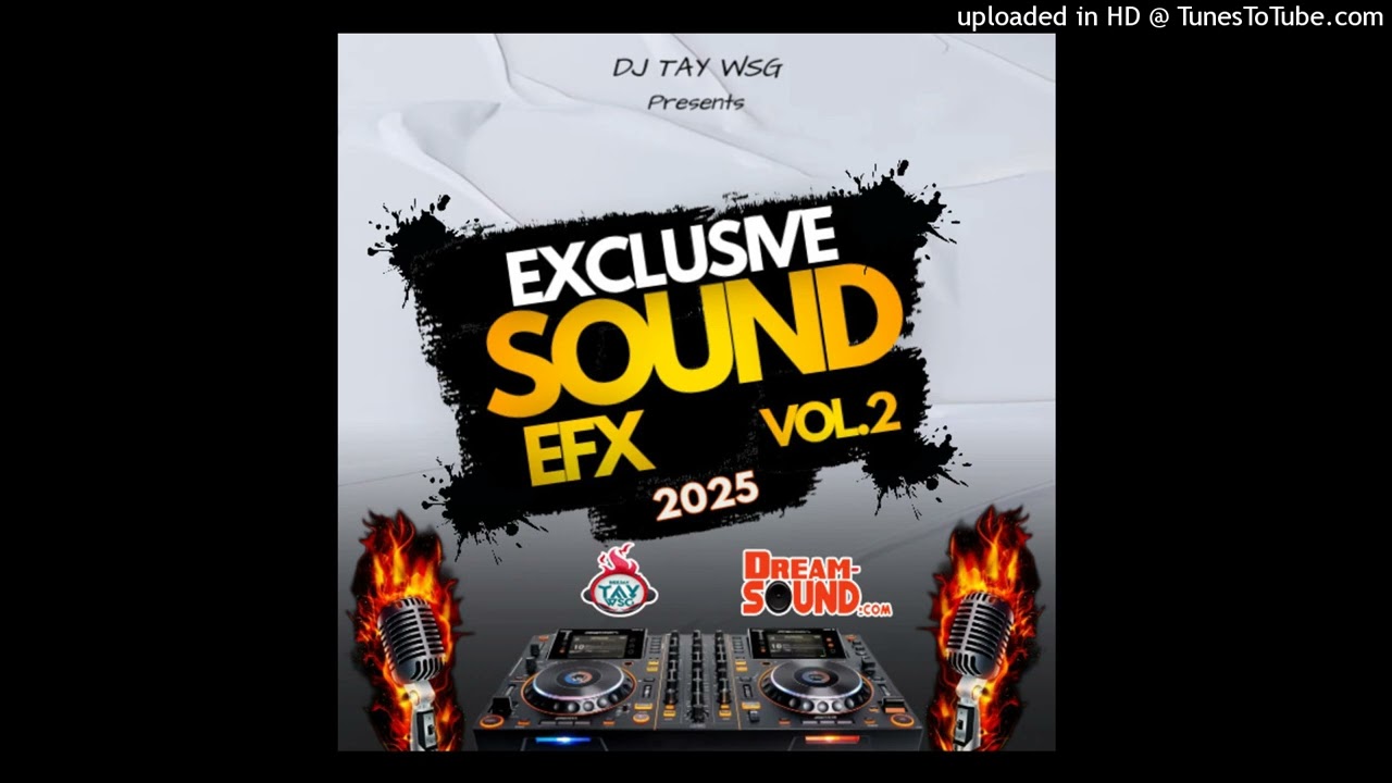DJ TAY WSG - EXCLUSIVE SOUND EFX VOL.2 2025 (AUDIO PREVIEW)