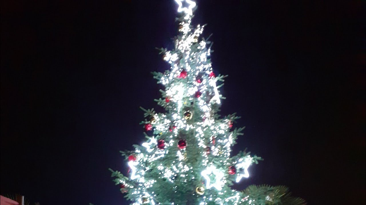 opening night of the lanterns at Chester Zoo.