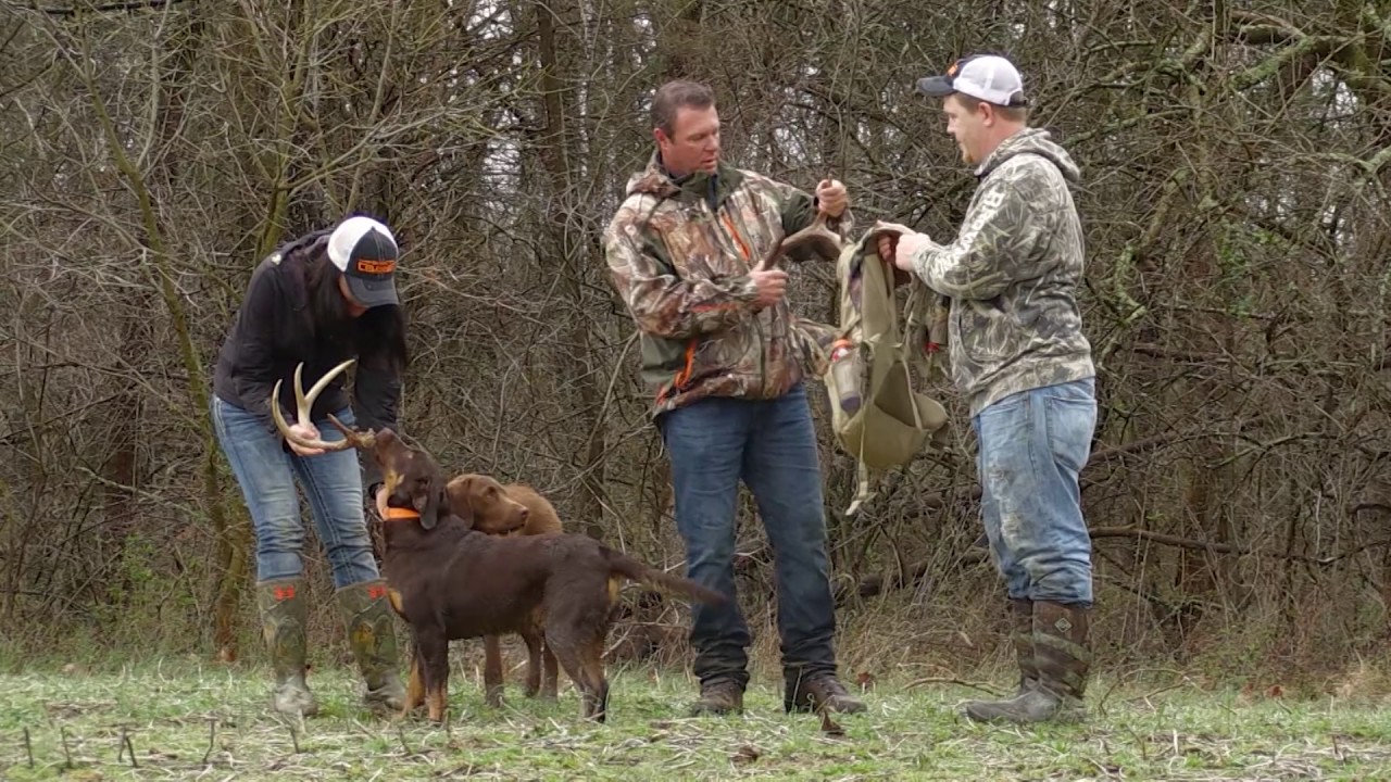 Shed Hunting With Dogs
