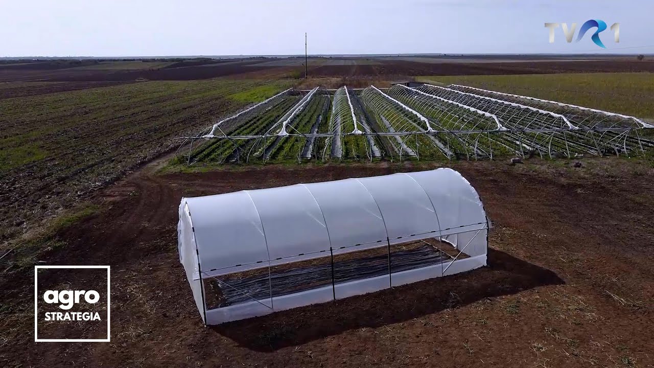 În Grădina Danei. Cum construim un solar cu structură metalică