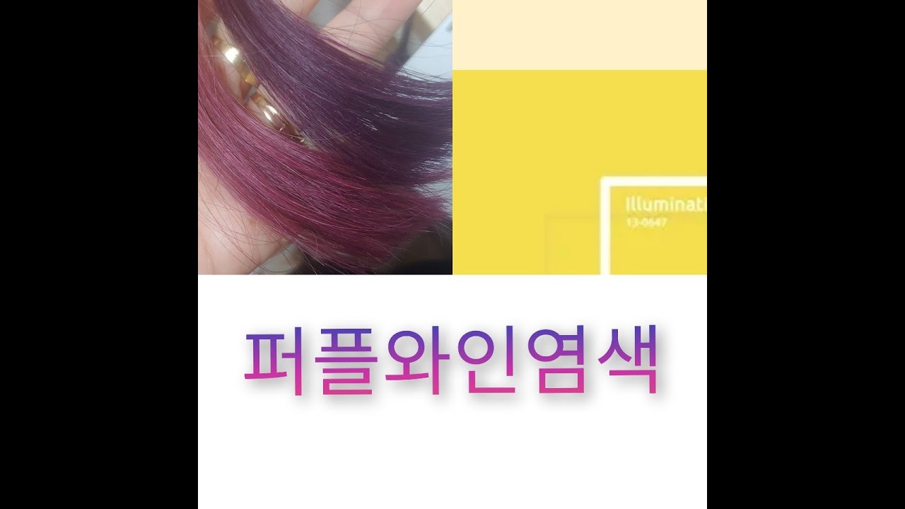 정열적인 컬러 #퍼플와인 레시피 퍼플레드염색 #퍼플염색 이주민강사 실전염색교육 한국헤어전문가협회