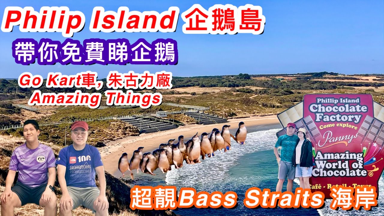 361. 帶你免費睇企鵝｜不一樣嘅Philip island 企鵝島體驗｜Bass Straits｜￼吃喝玩樂三日遊｜繁體中文字幕