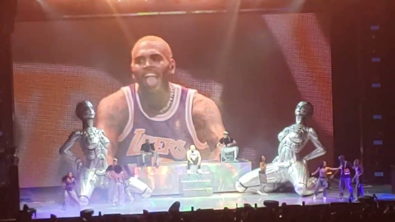 Chris Brown Indigoat Tour - Memory Lane Medley
