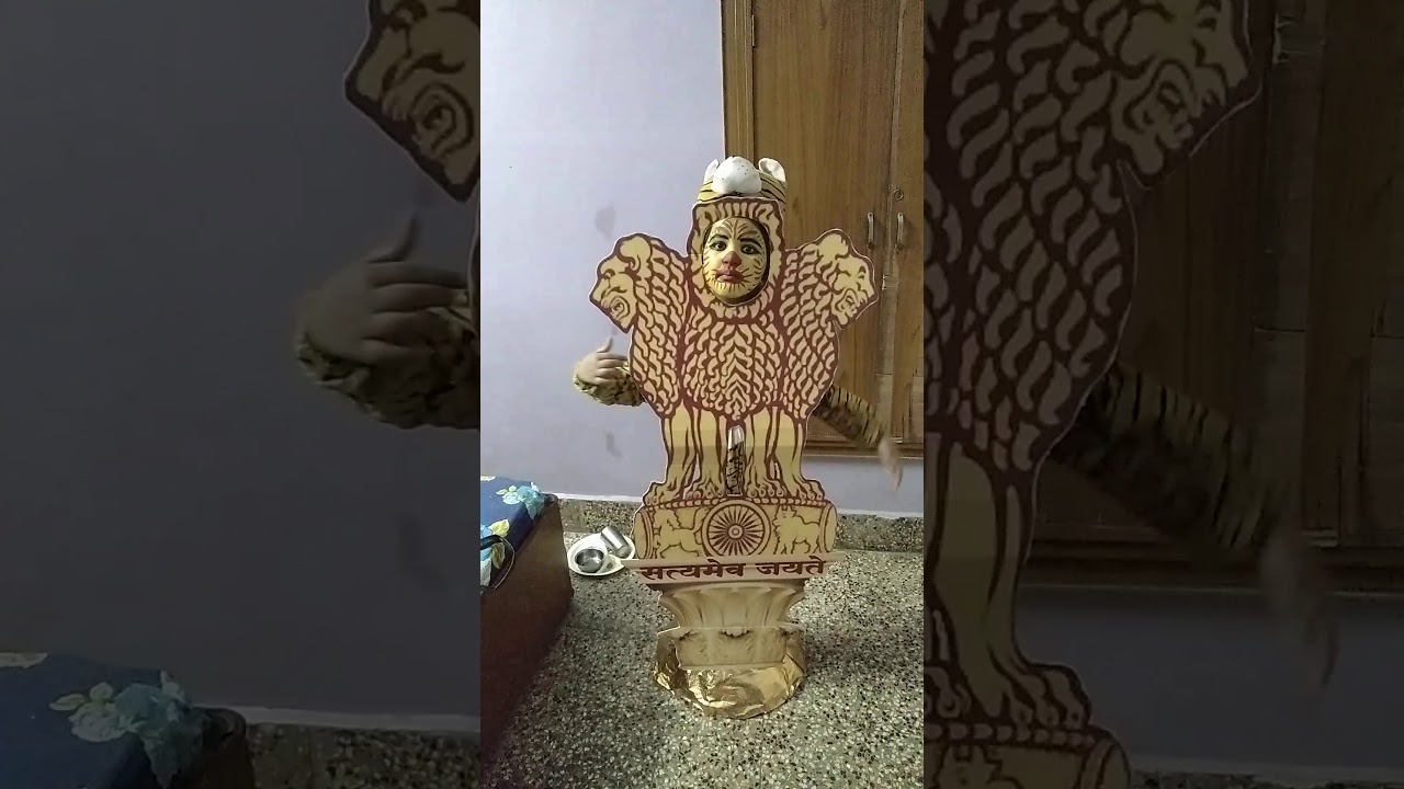 1st prize wining national emblem fancy dress by Ira paliwal