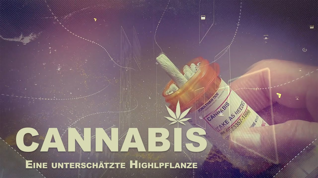 Cannabis - Eine unterschätzte Highlpflanze