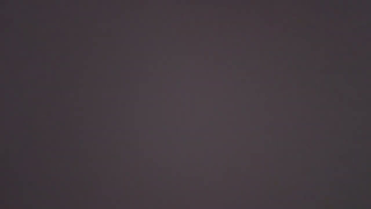 L1