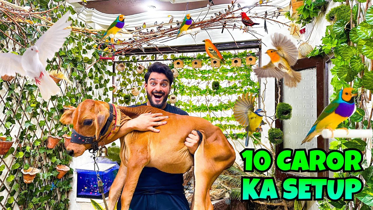 10 CRORE KE BIRDS SETUP P BASANTI KO LE GAYA | BIRDS VLOG