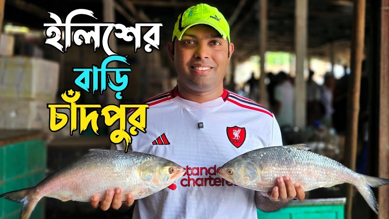 ইলিশের বাড়ি চাঁদপুর | বড় স্টেশন মাছের আড়ত | তিন নদীর মোহনা | লালপুর মাছ ঘাট | Chandpur | Hilsha Fish