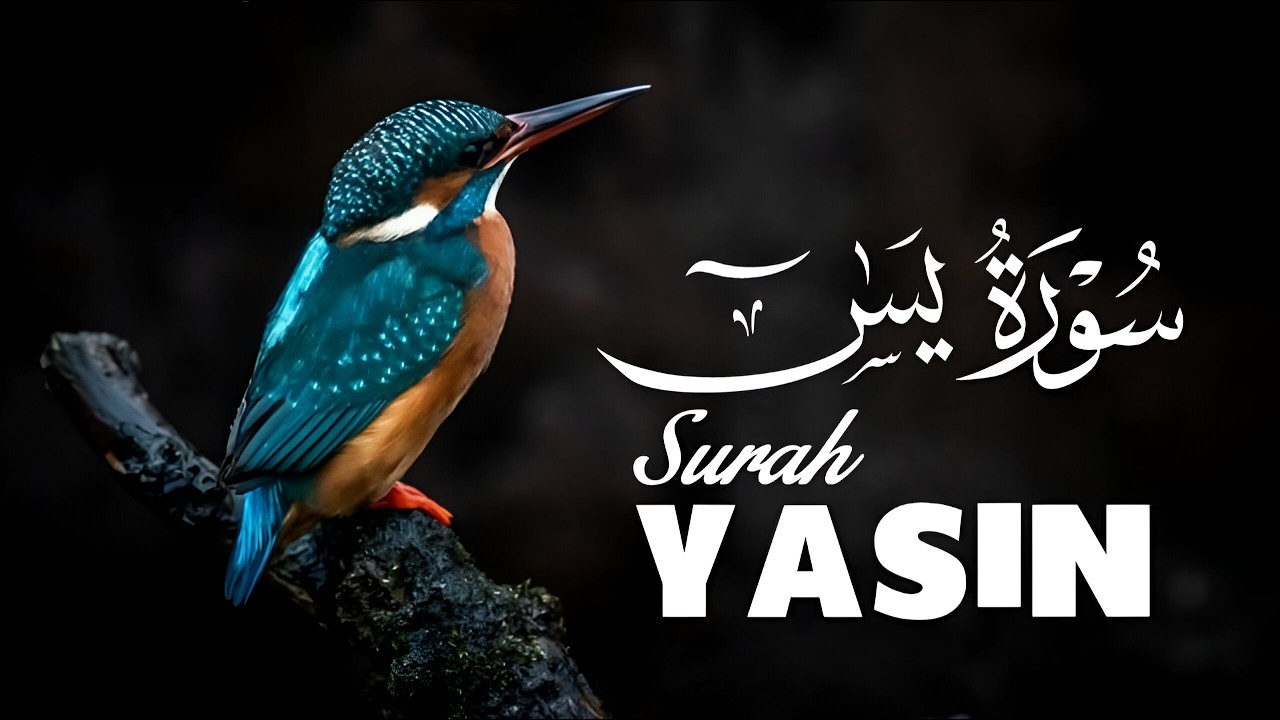 Surah Yasin (Yaseen) for Healing | Relieve Stress, Depression & Anxiety | سورة يس | #surahyaseen