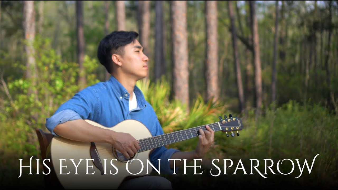 His Eye is on the Sparrow - Guitar Instrumental Hymn with Lyrics