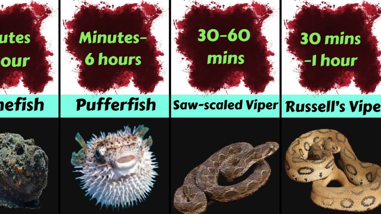 You will die within HOUR from these venoms! ☠️🤢 @NatGeo