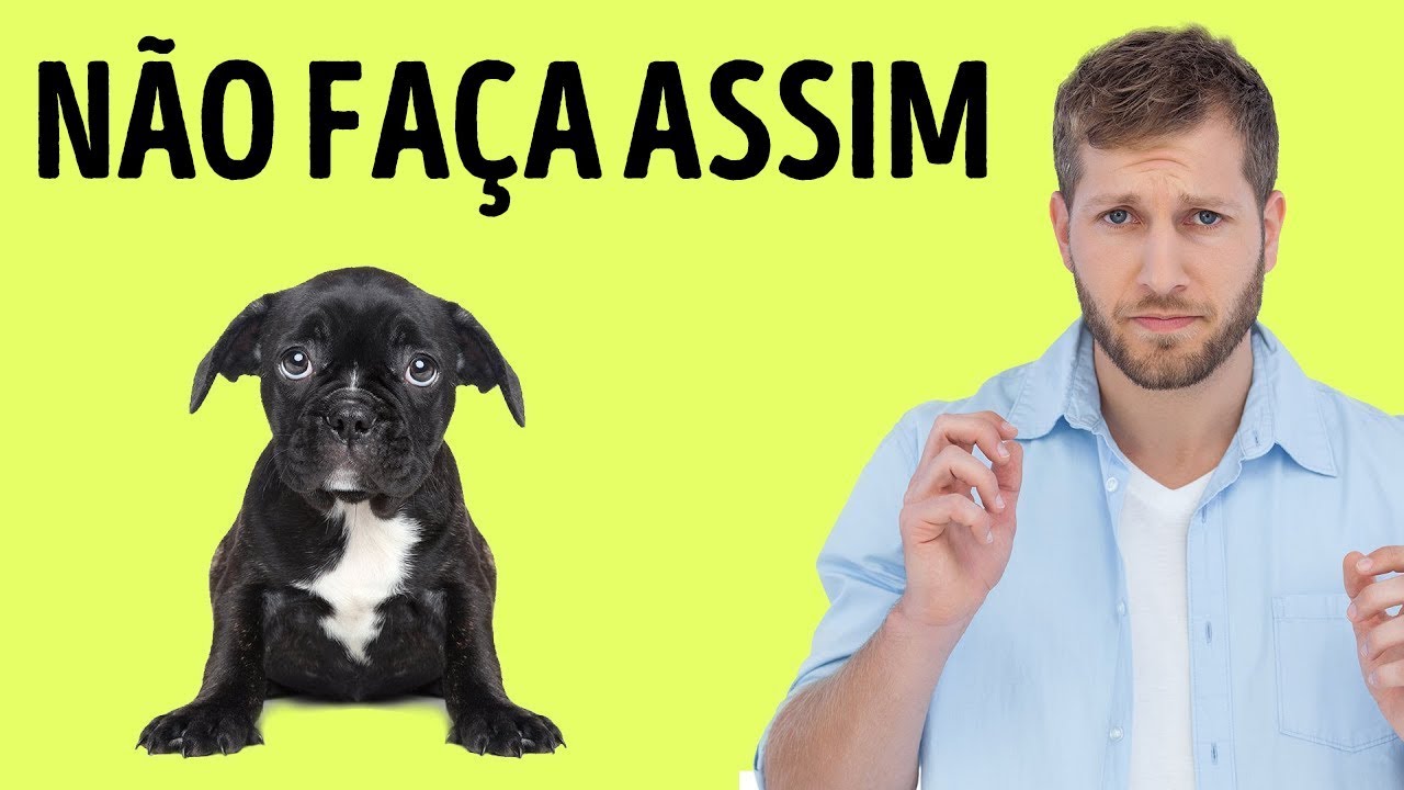 12 Coisas que Seu Cão Odeia em Você