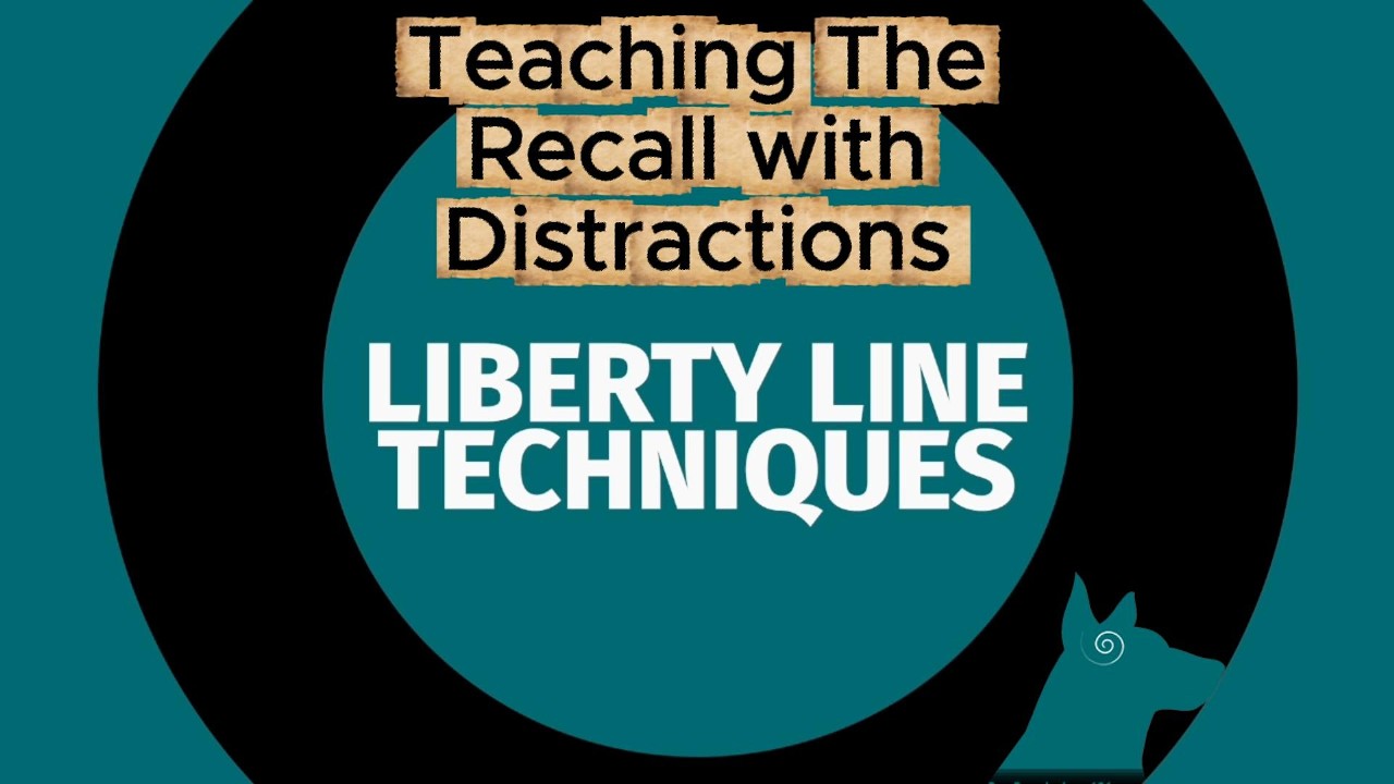 Stop Yelling “COME!”—Train Recall the Right Way (Liberty Line)  #dogpsychology101