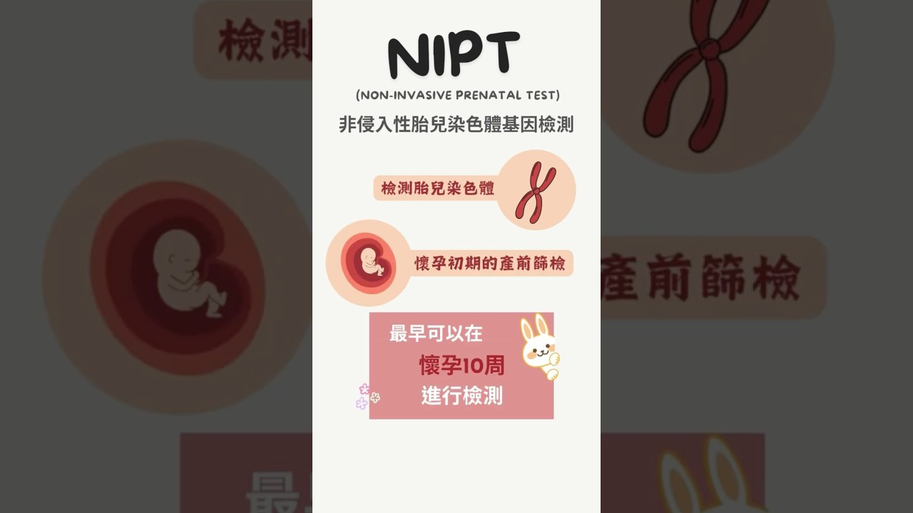 NIPT 非侵入性胎兒染色體檢查 - 孕產前檢驗  #懷孕 #檢測 #NIPT #新生兒 #非侵入性染色體檢查