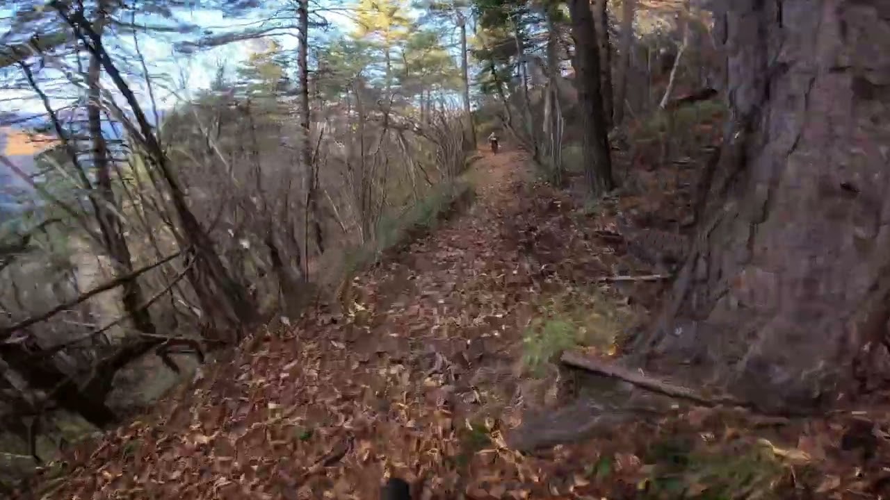 Molini /trail Fantasy🥰⚒️🇮🇹❤️late november shred with the boys. November 2025 #emtb #mtb