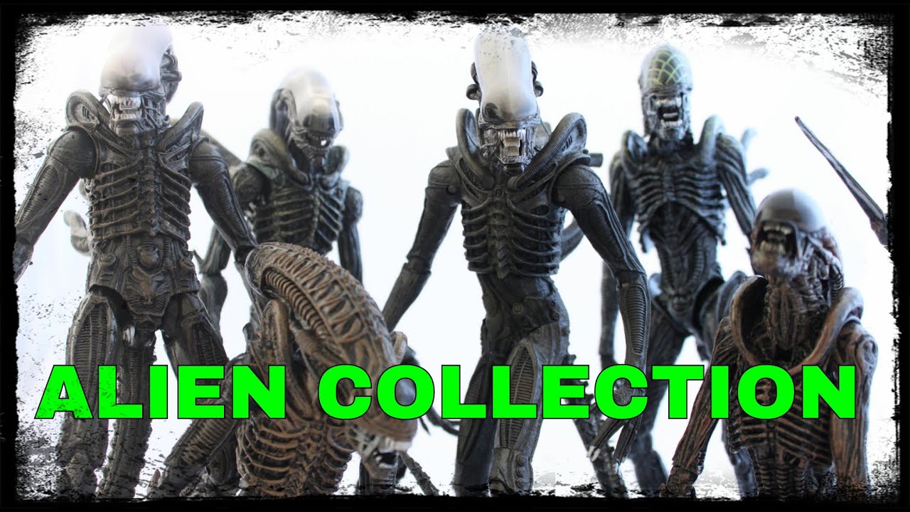 Xenomorphs Collection