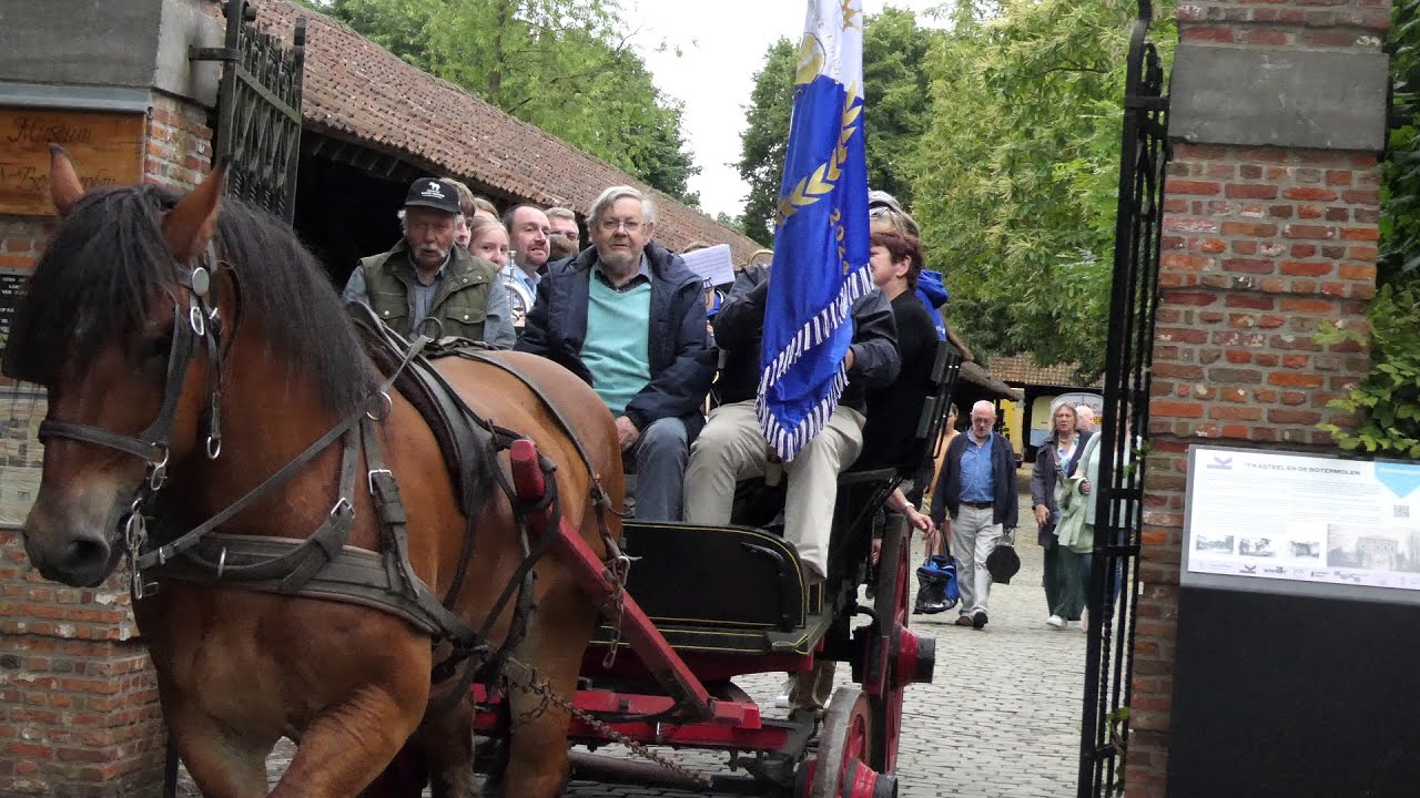 The Keerbergen fanfare is celebrating with Belgian draft horses