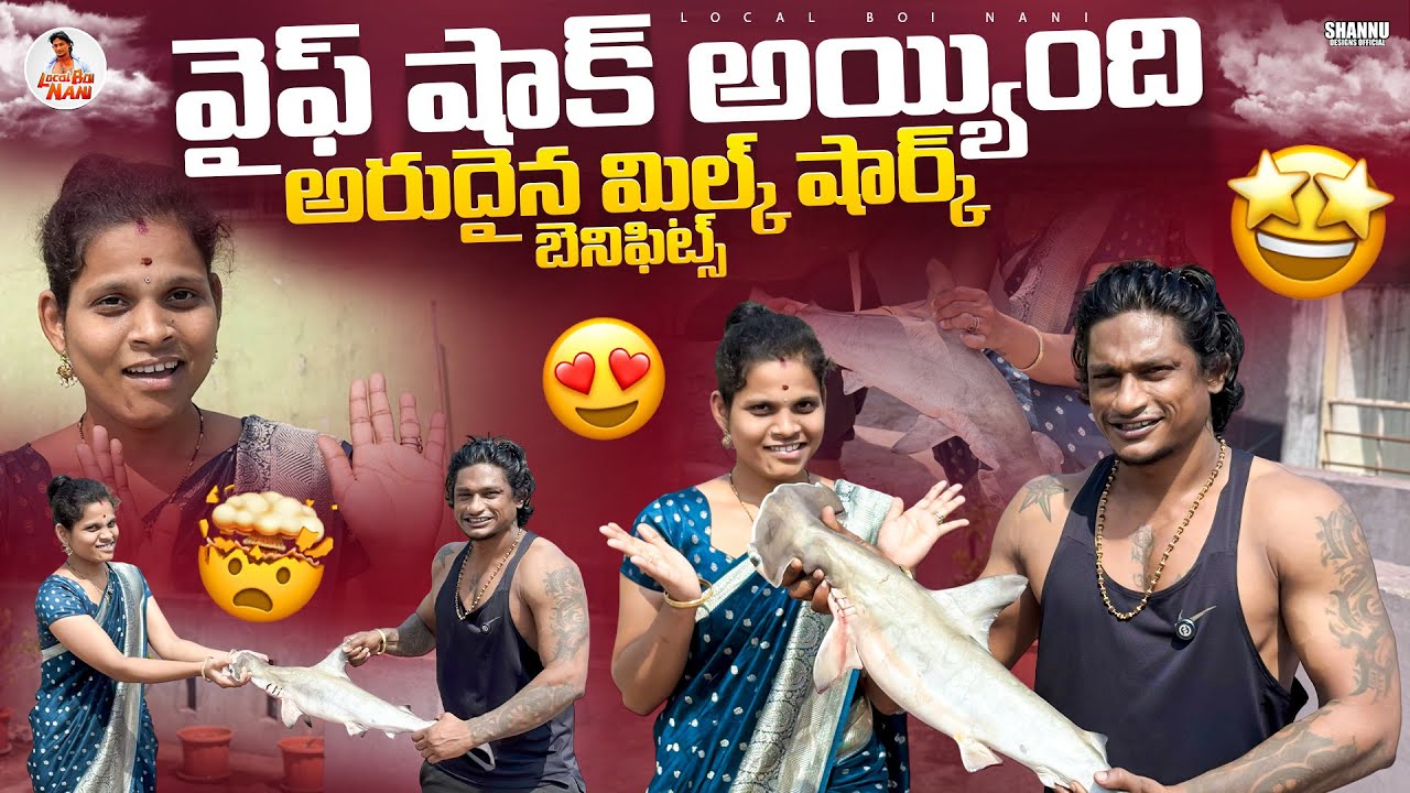 వైఫ్ షాక్ అయ్యింది 😳 అరుదైన మిల్క్ షార్క్ బెనిఫిట్స్ || Local Boi Nani