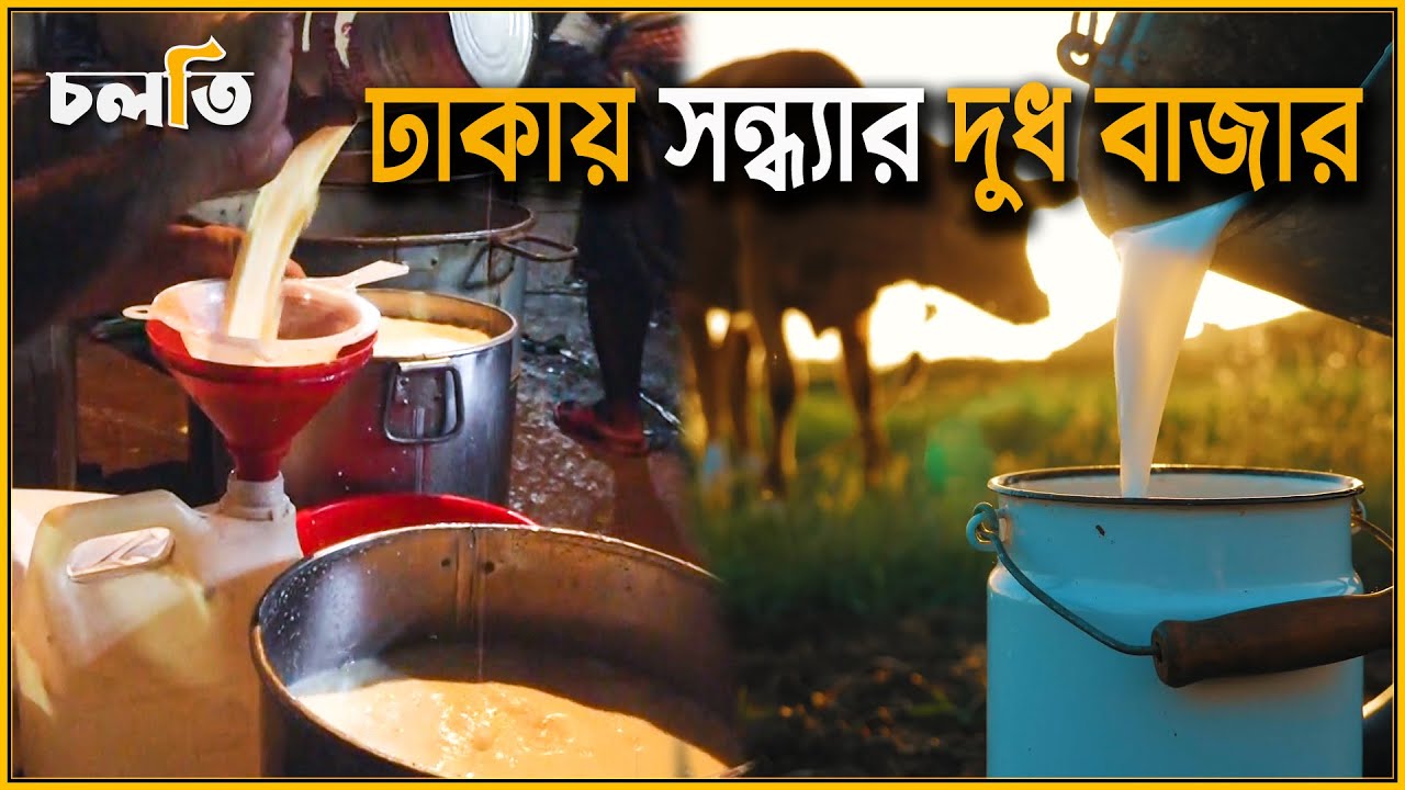 ঢাকায় সন্ধ্যার  দুধ বাজার | Cow's milk wholesale price in bangladesh | চলতি