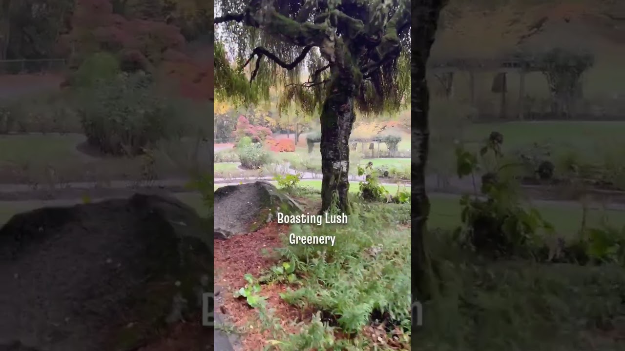 Burnaby Mountain Park