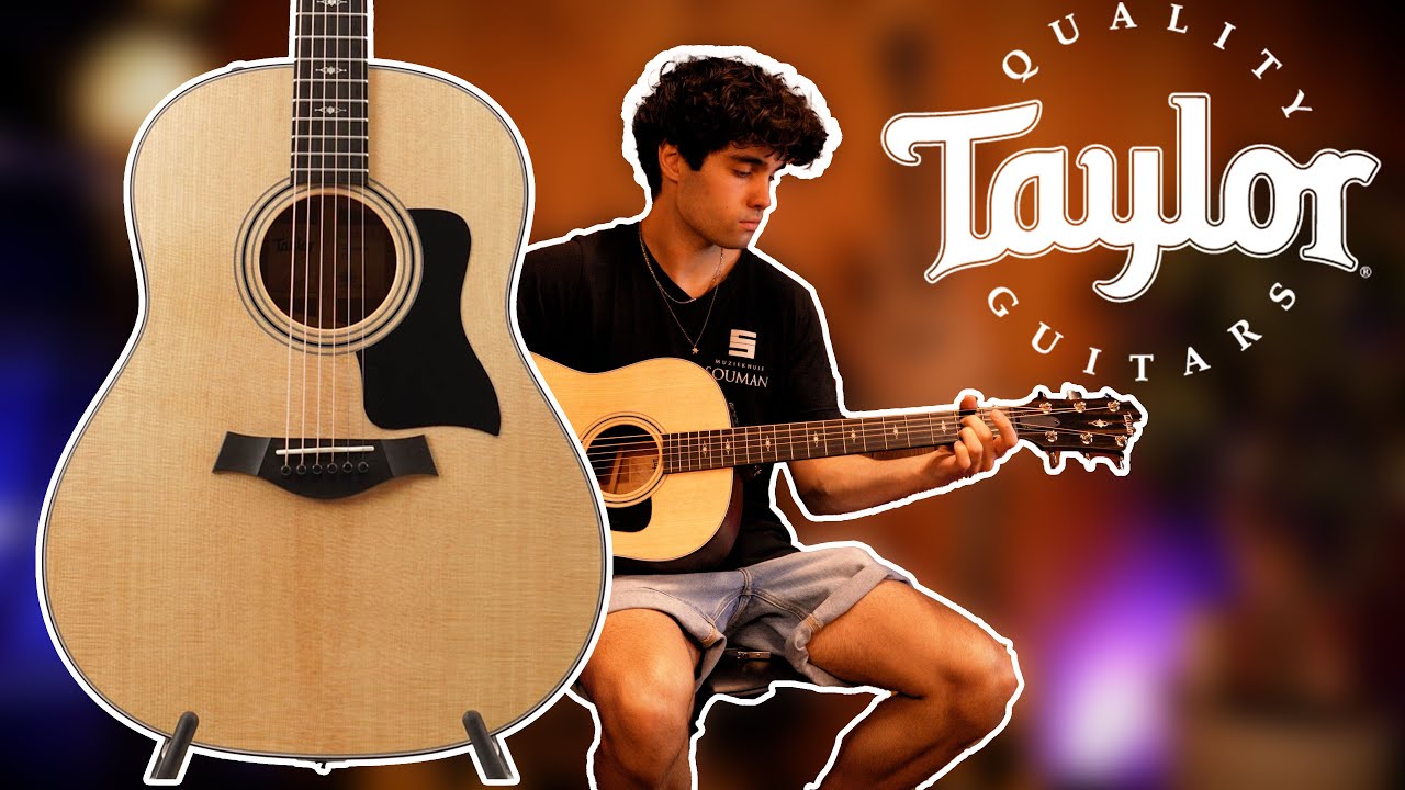 Taylor 317e DEMO | Muziekhuis Souman