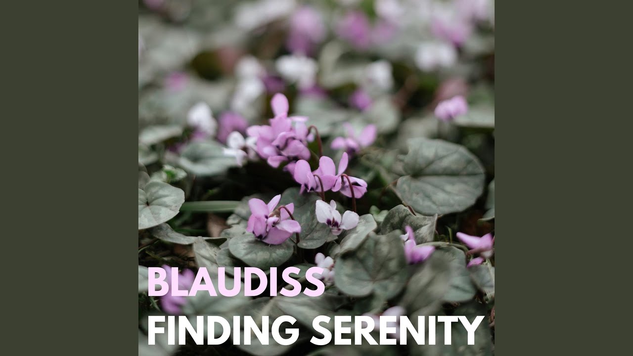 Finding Serenity