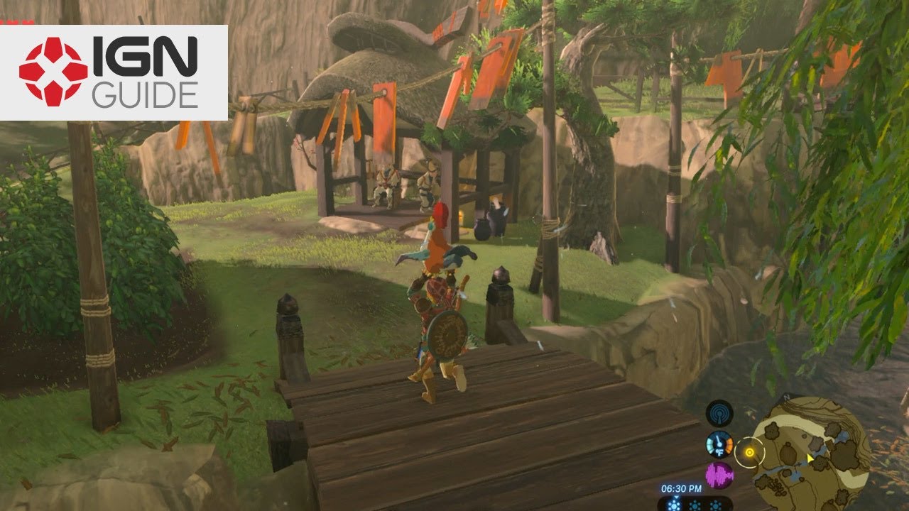 Zelda: Breath of the Wild Side Quest - Flown the Coop