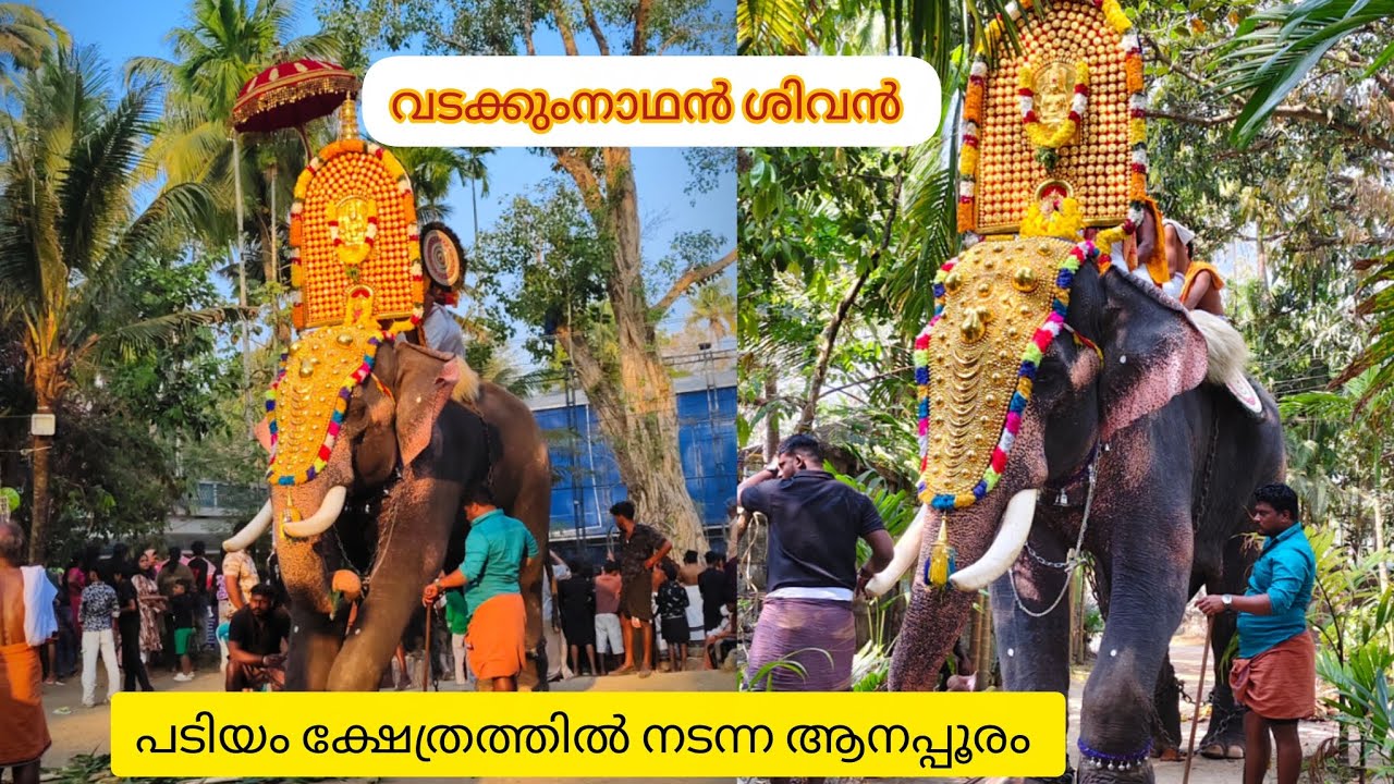 പടിയം ശ്രീകുമാര ക്ഷേത്ര ഉത്സവം ❤️വടക്കുംനാഥൻ ശിവൻ 😍|pooramVibes| thrissur 
