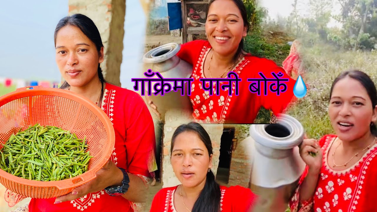 आज धारा गएर गाँक्रेमा पानी बोकेँ 💧 अनि कोटेली कोसा टिपेर