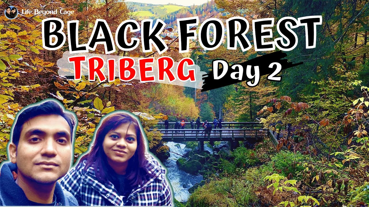 Triberg Black Forest Germany 2020 [DAY 2] | A Perfect Road Trip [4K]