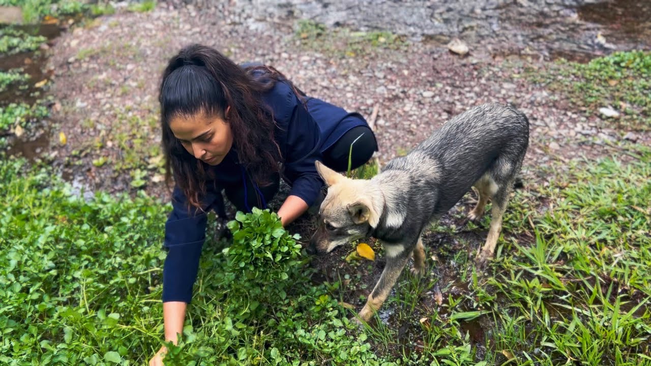 cozinhando com o que a terra nos deu… vida real na montanha!