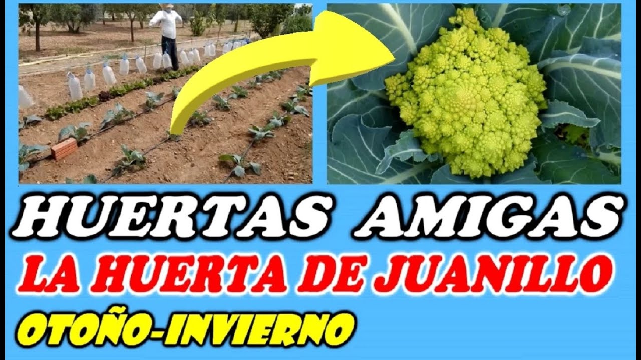 Huertas Amigas - PASEO POR LA HUERTA ECOLOGICA en OTOÑO - INVIERNO // Todo Huerta y Jardín