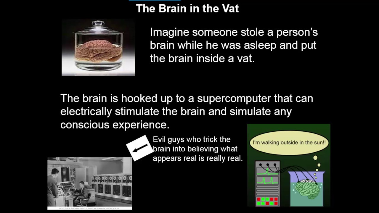 The Brain-in-the-Vat