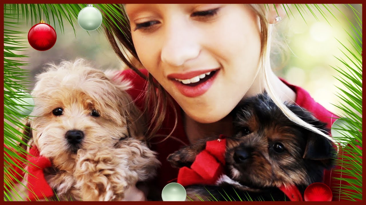 SKYLAR STECKER | All I Want For Christmas | 12 Days of Awesomeness (Day 7)