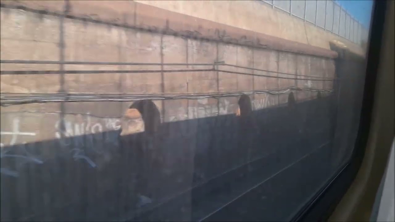 MTA Long Island Rail Road: Railfanning Compilation (December 18th, 2025)