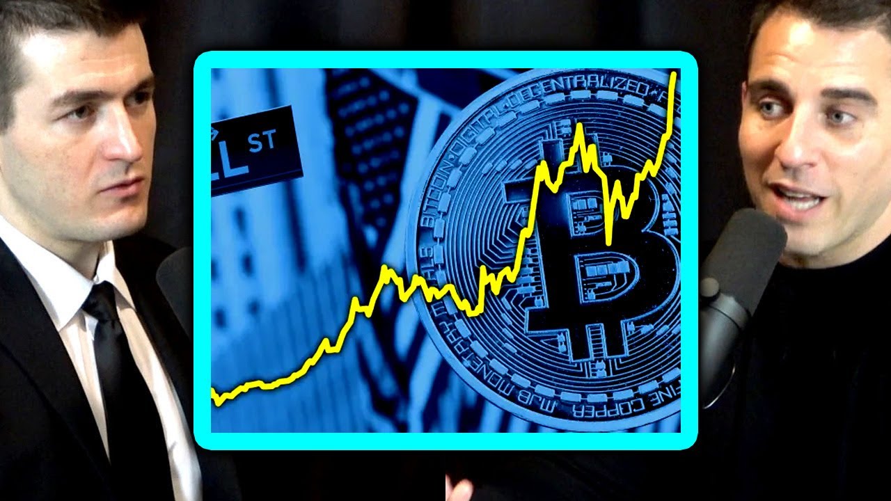 Volatility of Bitcoin | Anthony Pompliano and Lex Fridman