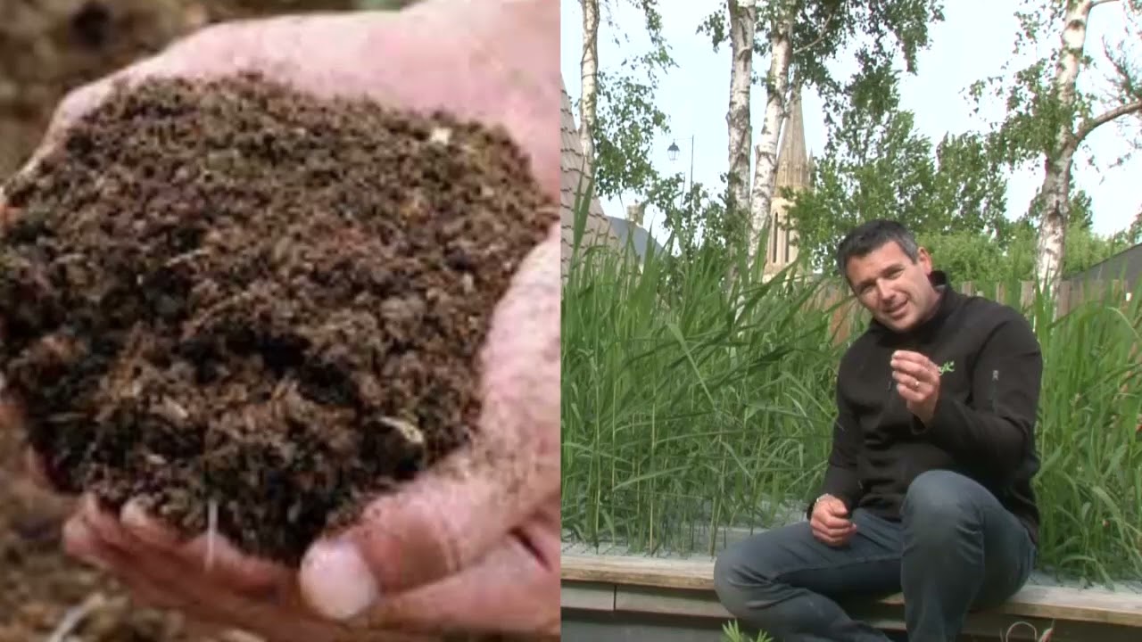 Aqualogik TV - Les débuts d'une phytoépuration - Tuto n°37