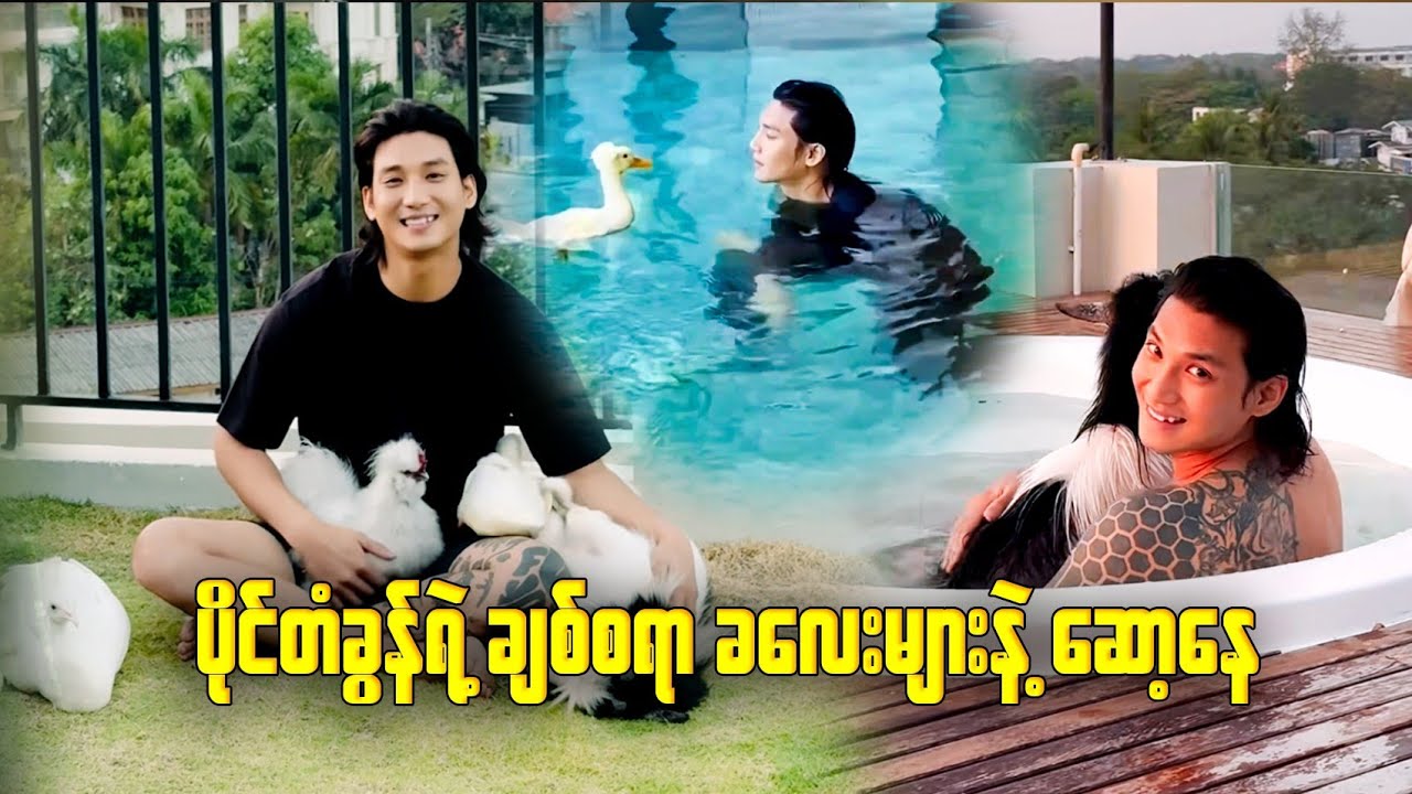 ပိုင်တံခွန်နဲ့ ချစ်စရာ အိမ်မွေးတိရိစ္ဆာန် ခလေးများ 🥰❤️🥰 Paing Takhon 