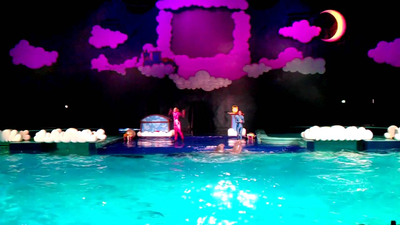 Dolfinarium show