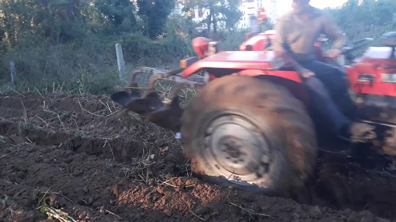 Massey Ferguson 255 T safra toprakta 3' lu  pullukla cıft surme