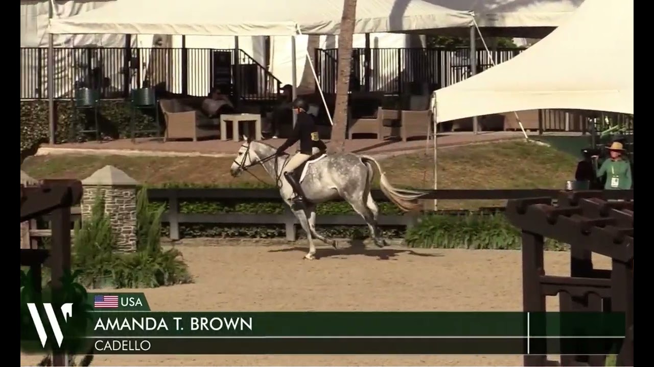Cadello, WEF 9 2026 3.8.26 3’3” AO Hunters 36+