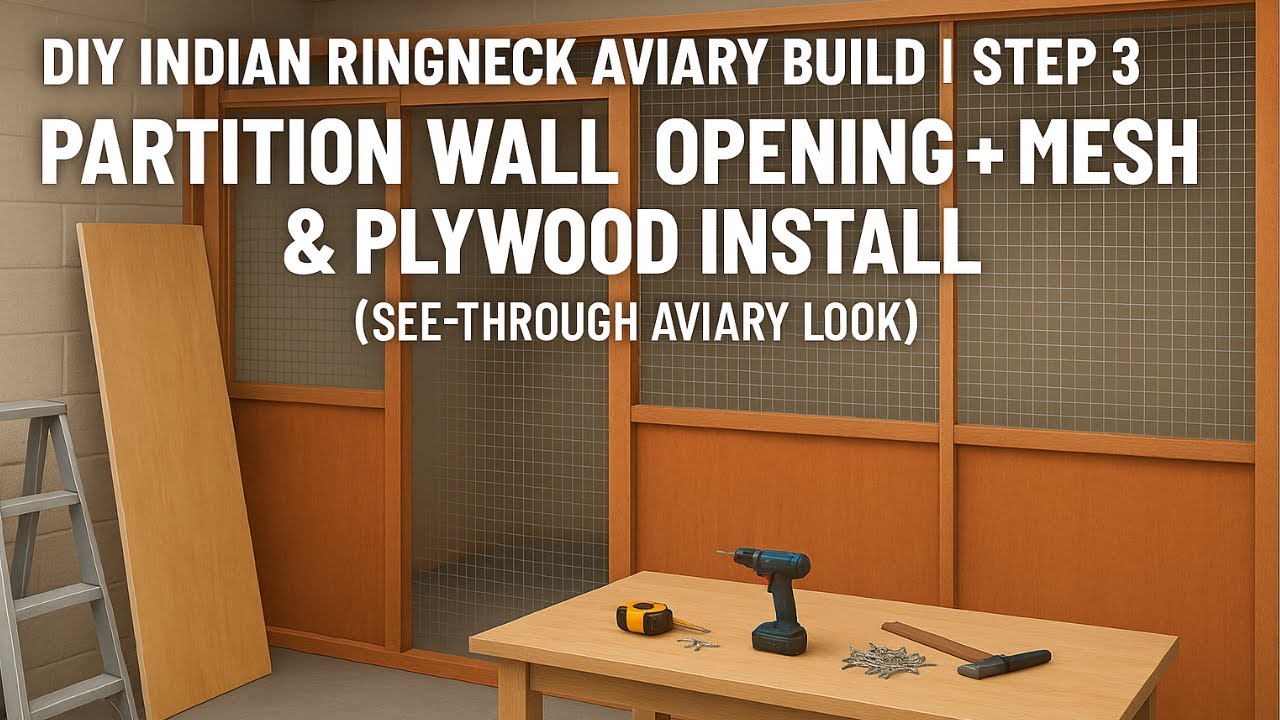 DIY Indian Ringneck Aviary Build | Step 3 | Partition Wall & Plywood Install | Full Transformation
