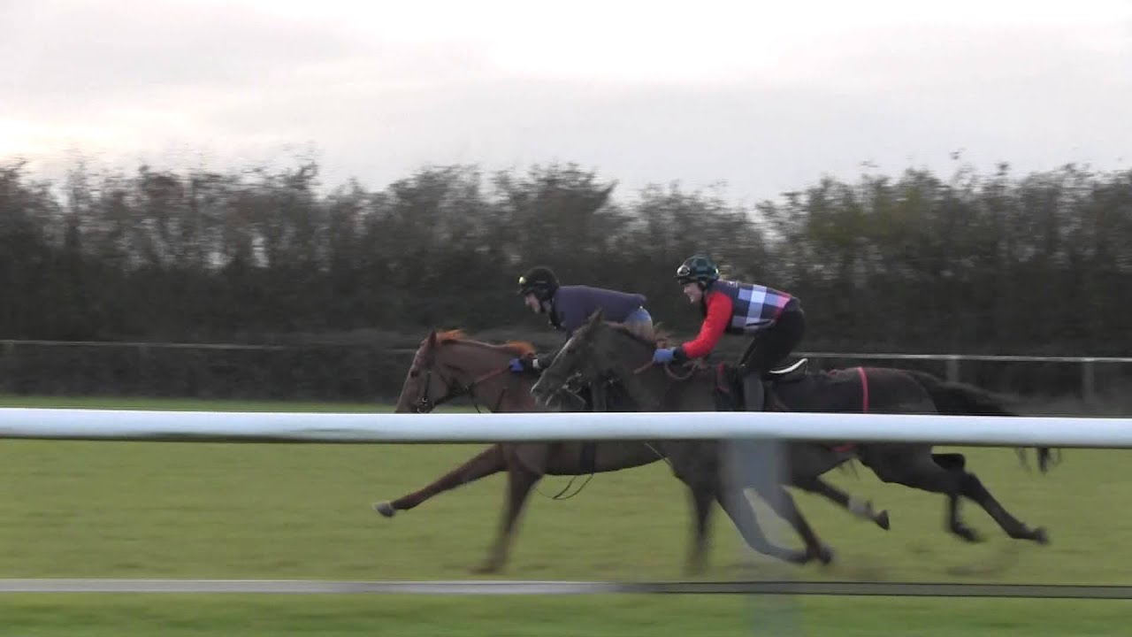 British Racing School - Katie Barr riding Zeffirelli