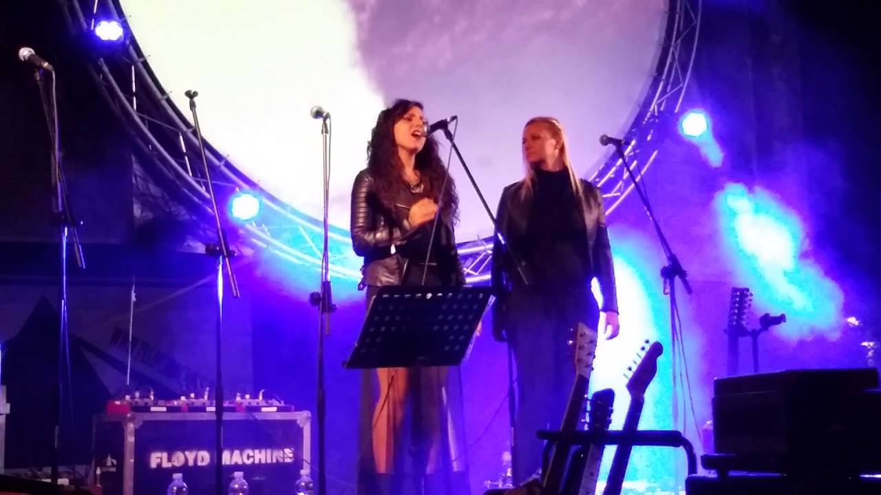 Floyd Machine Pink-Floyd  Forlì Serata al Parco Urbano del 17/9/2016 Valentina Cacciaguerra