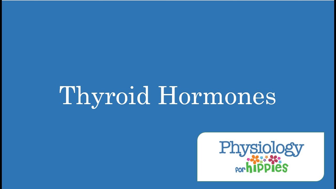 Thyroid Hormone Overview