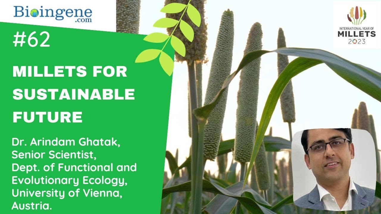 Millets for Sustainable Future – A Perspective on Abiotic Stress and BNI