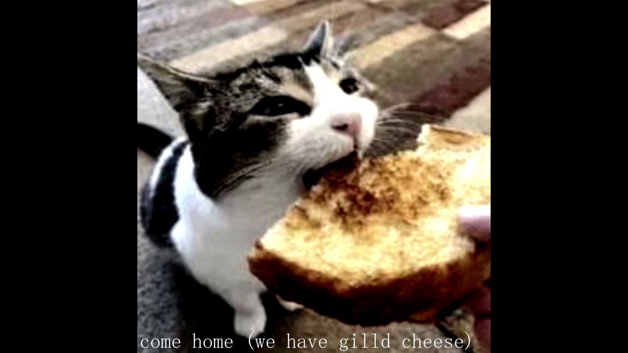 come home (we have gilld cheese)